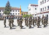 Homenaje a los Veteranos  (119)